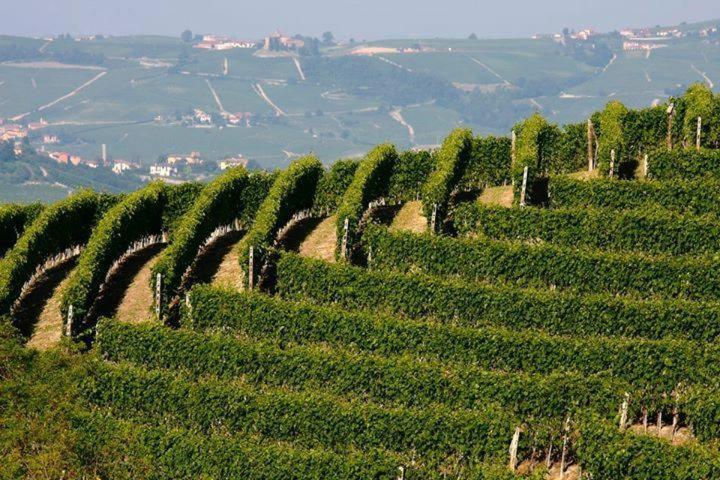 Agriturismo Cascina Rabalot Diano d'Alba Ngoại thất bức ảnh